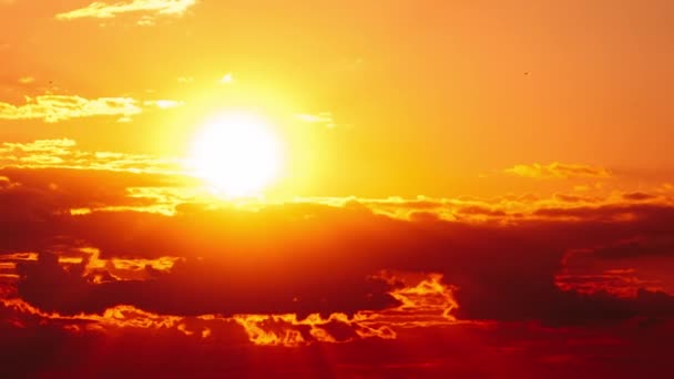 タイムラプスオレンジ色の空を雲で動き回る素晴らしい夕日 明るいオレンジ色の太陽は 層状の雲の背後の地平線上を移動します 壮大な雲の空間 鮮やかな色 タイムラプス 美しい日没 — ストック動画