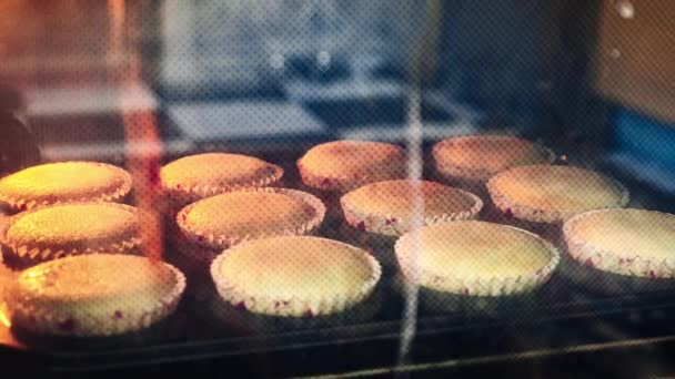 Cupcakes Cocinan Dentro Del Horno Deliciosas Subidas Masa Marrones Timelapse — Vídeo de stock