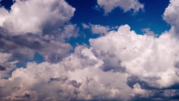 Timelapse Cumulus Clouds Move Blue Sky Background Gray Soft White — Stock Video