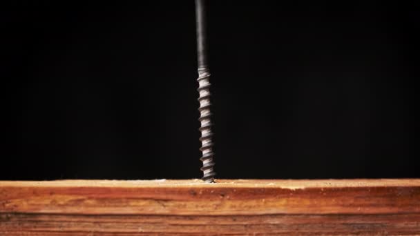Die Schraube Wird Mit Einem Schraubendreher Die Holzplatte Geschraubt Extremes — Stockvideo