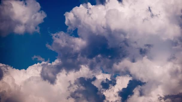 Cumulus Clouds Move Blue Sky Timelapse Background Gray Soft White — Stock Video