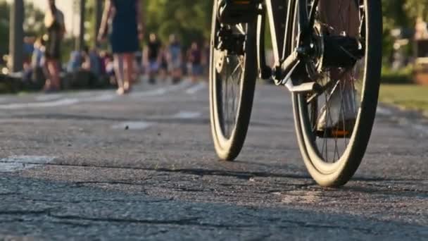 Жінка Велосипеді Їде Вздовж Велосипедної Доріжки Парку Під Час Заходу — стокове відео