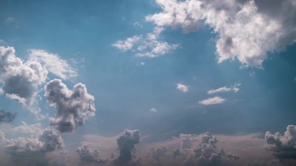 柔らかい白い積雲がゆっくりと青空 タイムラプスに移動します 光の穏やかな雲の背景は曇りの空間で形を変えます 自然の背景 時間の経過 コピースペース — ストック動画
