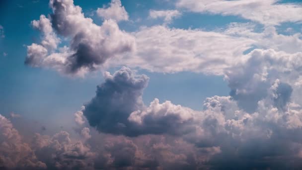Nubes Cúmulos Mueven Cielo Azul Timelapse Fondo Nubes Blancas Grises — Vídeos de Stock