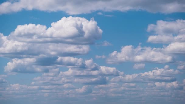 Mjuka Vita Cumulus Moln Rör Sig Långsamt Den Blå Himlen — Stockvideo