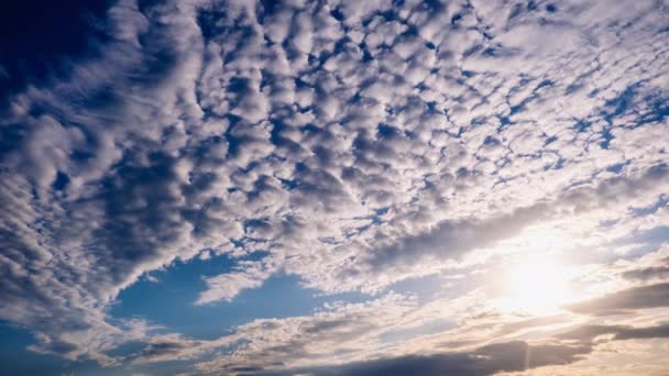 Σύννεφα Cirrus Κινούνται Στον Γαλάζιο Ουρανό Μαζί Τον Ήλιο Timelapse — Αρχείο Βίντεο