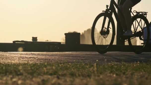 Sylwetka Kobiety Rowerze Jeździ Ścieżce Rowerowej Parku Podczas Zachodu Słońca — Wideo stockowe