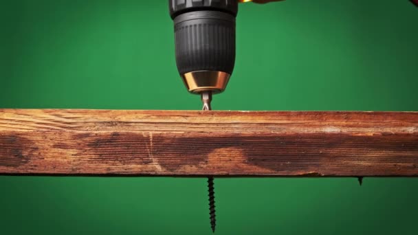 Śruba Jest Przykręcana Deski Drewnianej Śrubokrętem Ekstremalne Makro Odbiór Proces — Wideo stockowe