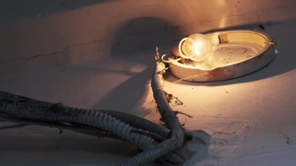 Incandescent Light Bulb Glows Old Broken Lamp Concrete Wall Stairwell — Stock Video