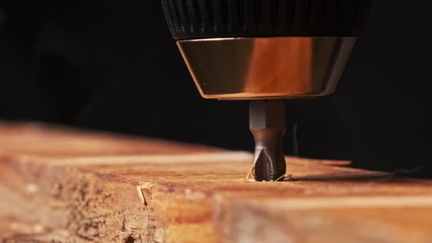 Zbliżenie Odkręcania Śruby Drewnianej Deski Śrubokrętem Odbiór Śruba Samogwintująca Jest — Wideo stockowe