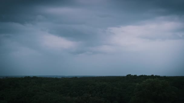嵐の雲の中の落雷 激しい雲は雷と雷雨の複数の閃光をもたらす 森の地平線の上の夜の暗い空で落雷の大きなボルト スローモーション — ストック動画