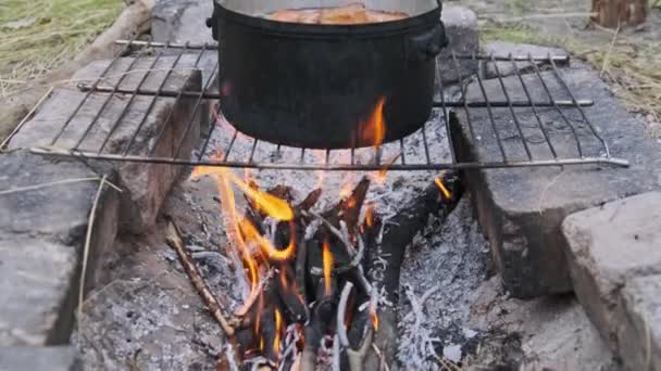 Grzyby Gotowane Garnku Ognisku Wiele Pieczarki Czytuja Gotowane Wodzie Nad — Wideo stockowe