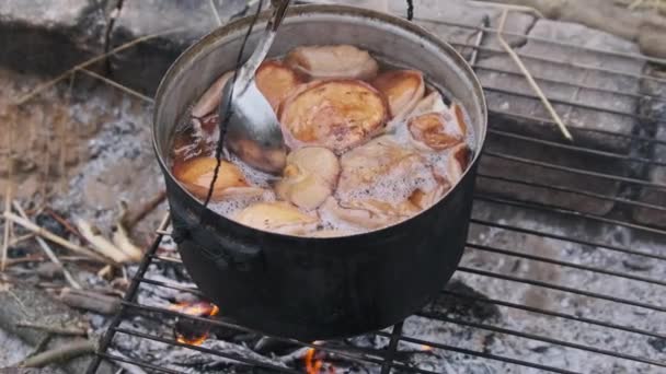 Mushrooms Cooked Pot Campfire Many Chanterelles Mushrooms Boiled Water Open — Stock Video