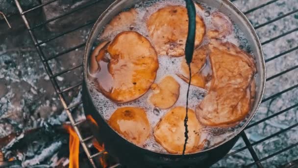 Πολλά Μανιτάρια Chanterelles Μαγειρεύονται Μια Κατσαρόλα Μια Φωτιά Μανιτάρια Βράζονται — Αρχείο Βίντεο