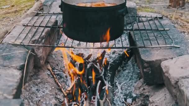 Banyak Jamur Chanterelles Dimasak Dalam Panci Atas Api Unggun Jamur — Stok Video