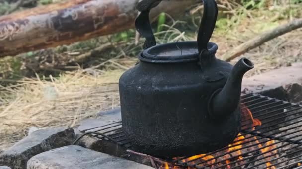 火上的水壶 古老的烟熏茶壶是用石子铺在地面上的自制旅游炉上的开水 在野营附近的森林篝火上煮茶 — 图库视频影像