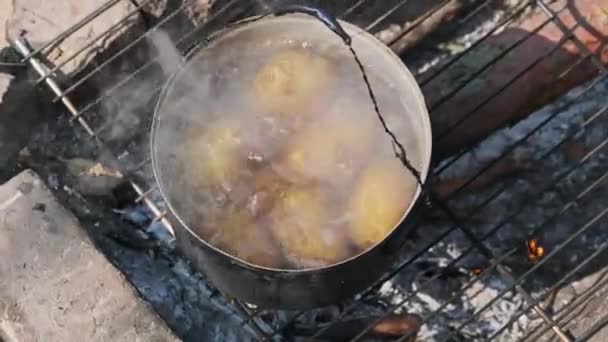 Många Unga Potatisar Kokas Kokande Vatten Över Öppen Eld Egentillverkad — Stockvideo