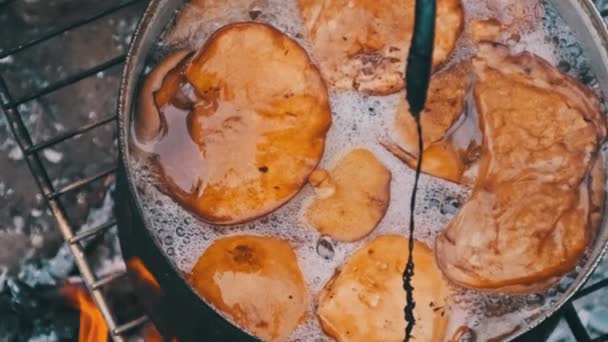 Birçok Mantar Bir Kamp Ateşinde Bir Tencerede Pişirilir Mantarlar Doğada — Stok video