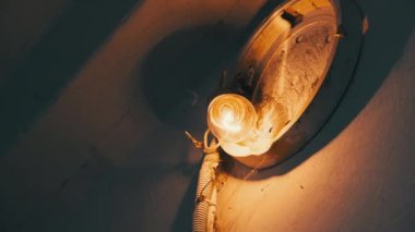 Merdiven boşluğundaki beton duvarda, kırık bir lambanın üzerinde eski bir parlak ampul parlıyor. Filament lambası, duvarda örümcek ağlarıyla sabitlenmiş eski bir elektrik kartuşunda loş bir şekilde parıldıyor..