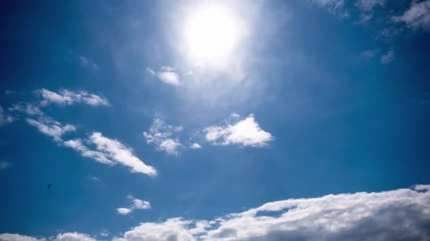 Cumulus Chmury Poruszają Się Niebieskim Niebie Timelapse Tło Szarych Miękkich — Wideo stockowe