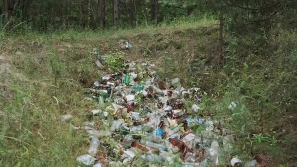 森の中のプラスチックとボトルのゴミ捨て場 自然界の合成廃棄物の山 環境問題 地面に不法なゴミ捨て場がある たくさんのゴミが森に投げ込まれた エコロジカル災害 — ストック動画