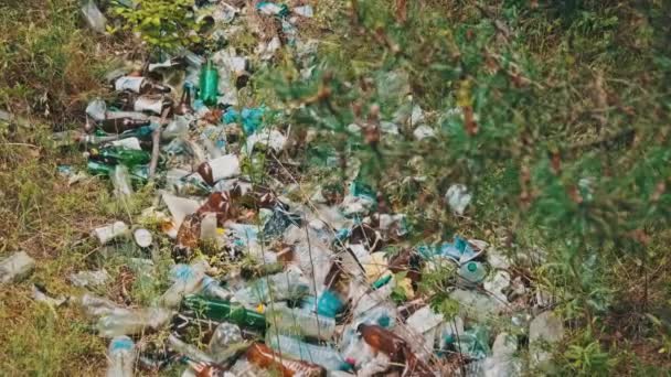 Illegale Vuilnisbelt Van Plastic Flessen Bosput Menselijke Vervuiling Van Bossen — Stockvideo