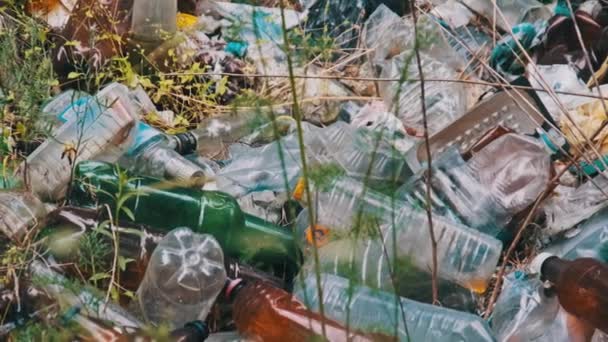 Discarica Plastica Bottiglie Nella Foresta Mucchio Rifiuti Sintetici Natura Inquinamento — Video Stock
