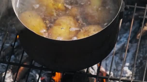 Las Patatas Cocinan Agua Una Olla Una Fogata Naturaleza Muchas — Vídeo de stock