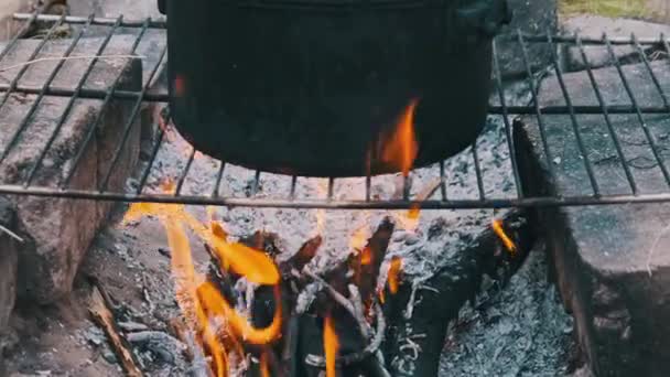 Viele Pfifferlinge Werden Einem Topf Lagerfeuer Gekocht Pilze Werden Wasser — Stockvideo