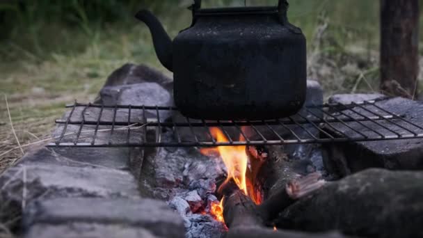 Ketel Tua Berdiri Atas Api Unggun Turis Alam Gelap Dengan — Stok Video