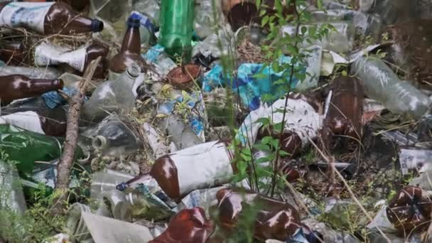 Illegale Vuilnisbelt Van Plastic Flessen Bosput Stapel Synthetisch Afval Natuur — Stockvideo
