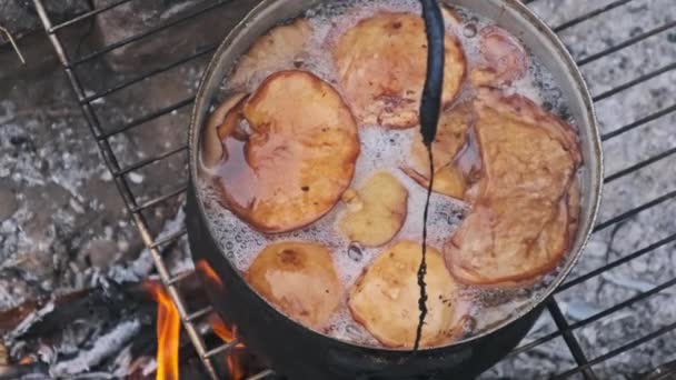 蘑菇是在篝火上的锅里烹调的 许多香菇在大自然自制的炉子上的篝火上被水煮沸 在森林里露营时做饭 — 图库视频影像