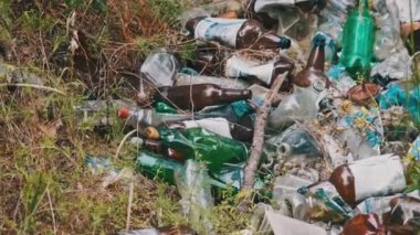 Orman çukurunda yasadışı plastik ve şişe çöplüğü. Ormanların insan kirliliği. Doğada sentetik atık yığını. Tahtada bir sürü çöp var. İnsanlar tarafından bir yere atılan çöpler.