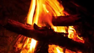Kamp ateşi geceleri yavaş çekimde yanar. Doğada yanan ağaç kütükleri ve kıvılcımları olan sarı şenlik ateşi. Çam ağacı ateşi ve parlayan kömür. Bir orman yangınının arka planı.