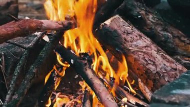 Kamp ateşi akşam vakti açık havada yavaş çekimde yanar. Yanan ağaç kütükleri ve kıvılcımları olan sarı şenlik ateşi. Çam ağacı ateşi ve parlayan kömür. Bir orman yangınının arka planı.