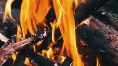 Kamp ateşi akşam vakti açık havada yavaş çekimde yanar. Yanan ağaç kütükleri ve kıvılcımları olan sarı şenlik ateşi. Çam ağacı ateşi ve parlayan kömür. Bir orman yangınının arka planı.