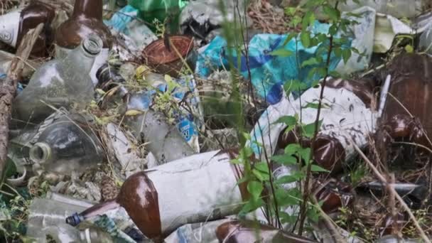 Ormanda Plastik Şişe Çöplüğü Var Doğadaki Sentetik Atık Yığını Ormanlardaki — Stok video