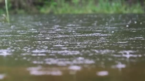 Σταγόνες Βροχής Πέφτουν Στην Επιφάνεια Του Ποταμού Φυσαλίδες Καλοκαίρι Αργή — Αρχείο Βίντεο
