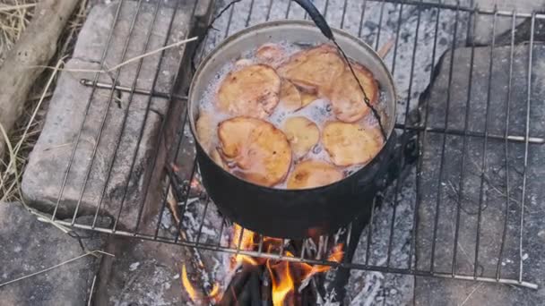 Mantarlar Kamp Ateşinde Tencerede Pişirilir Birçok Chanterelles Mantarı Doğada Kendi — Stok video