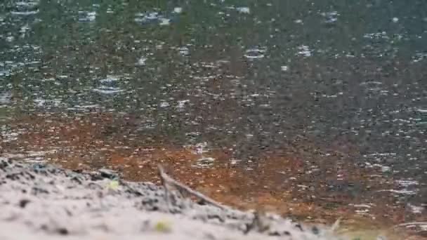 Rain Drops Fall River Surface Bubbles Summer Slow Motion Green — Stock Video