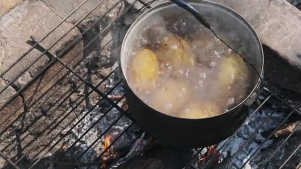 Patatesler Doğada Bir Kamp Ateşinde Tencerede Suda Pişirilir Bir Sürü — Stok video