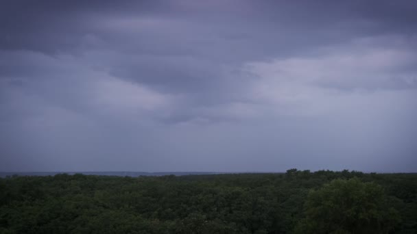 嵐の雲の中の雷のフラッシュ 重い雲は 雷と雷雨の複数のフラッシュをもたらします 森の地平線上空の夜空での雷撃の大きなボルト スローモーション 4Kについて — ストック動画