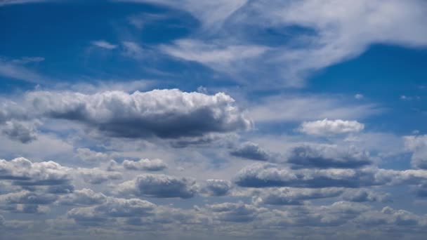 Мягкие Белые Кучевые Облака Медленно Движутся Голубом Небе Течением Времени — стоковое видео