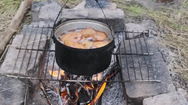 Μανιτάρια Μαγειρεύονται Μια Κατσαρόλα Μια Φωτιά Πολλά Μανιτάρια Chanterelles Βράζονται — Αρχείο Βίντεο