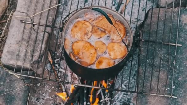 Banyak Jamur Chanterelles Dimasak Dalam Panci Atas Api Unggun Jamur — Stok Video