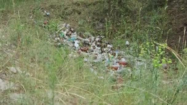 Nielegalne Wysypisko Plastiku Butelek Leśnej Dziurze Kupa Odpadów Syntetycznych Naturze — Wideo stockowe