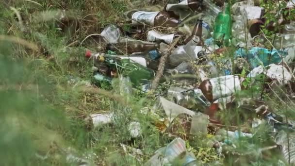 把塑料和瓶子垃圾堆在森林里 在自然界中堆放合成废物 环境问题 非法垃圾倒在地上 大量的垃圾扔在森林坑里 生态灾难 — 图库视频影像