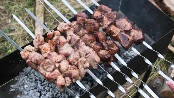 구이에 케밥은 야외에서 Bbq에서 요리됩니다 고기는 그릴에 구이에 튀겨집니다 클로즈업 — 비디오