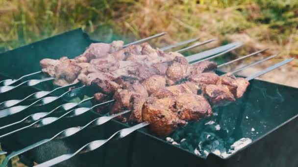 구이에 케밥은 야외에서 그릴에서 요리됩니다 육즙이 돼지고기 고기는 Bbq의 구이에 — 비디오