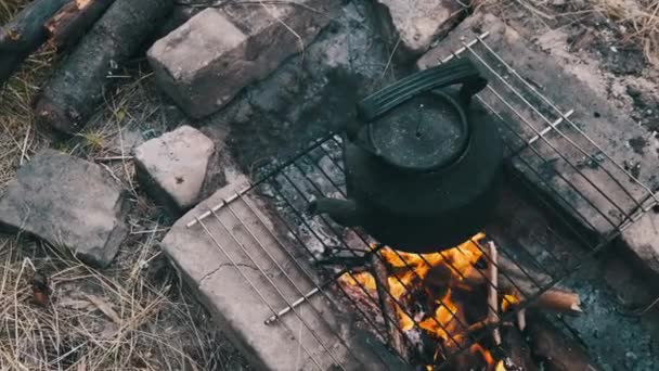 Παλιός Βραστήρας Στέκεται Πάνω Μια Τουριστική Φωτιά Στη Φύση Μαύρη — Αρχείο Βίντεο